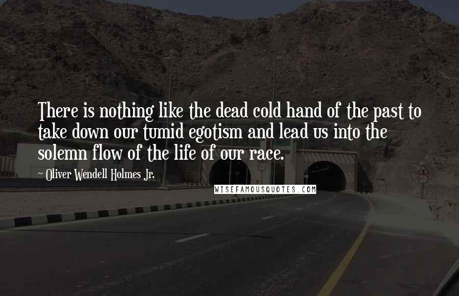 Oliver Wendell Holmes Jr. Quotes: There is nothing like the dead cold hand of the past to take down our tumid egotism and lead us into the solemn flow of the life of our race.