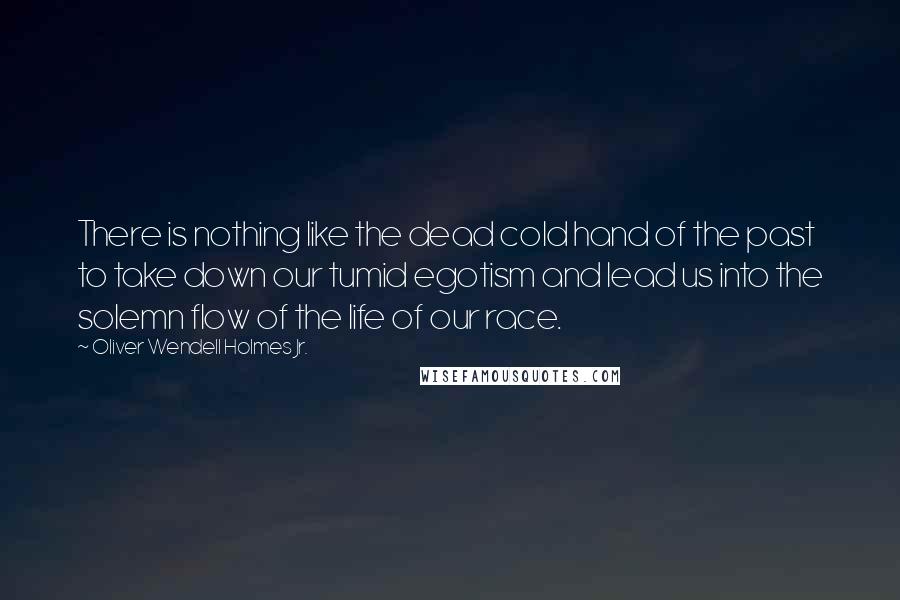 Oliver Wendell Holmes Jr. Quotes: There is nothing like the dead cold hand of the past to take down our tumid egotism and lead us into the solemn flow of the life of our race.