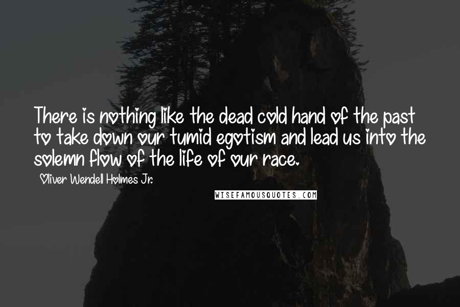 Oliver Wendell Holmes Jr. Quotes: There is nothing like the dead cold hand of the past to take down our tumid egotism and lead us into the solemn flow of the life of our race.