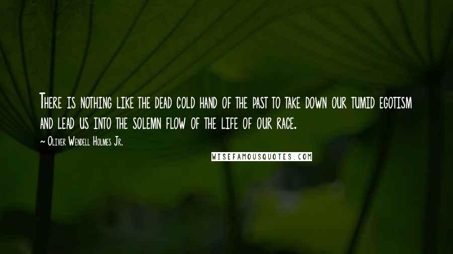 Oliver Wendell Holmes Jr. Quotes: There is nothing like the dead cold hand of the past to take down our tumid egotism and lead us into the solemn flow of the life of our race.