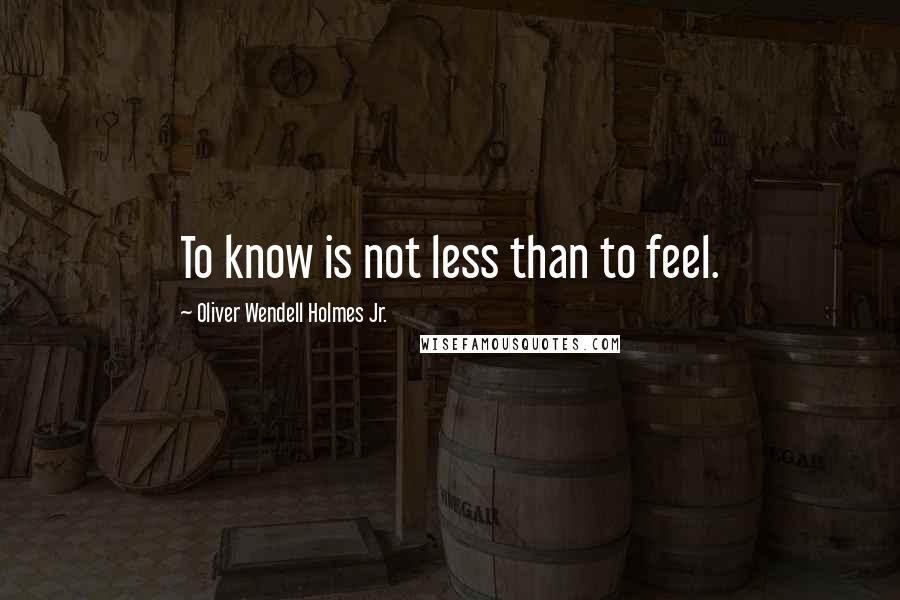 Oliver Wendell Holmes Jr. Quotes: To know is not less than to feel.