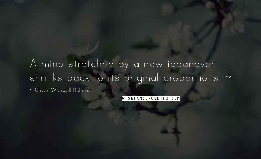 Oliver Wendell Holmes Quotes: A mind stretched by a new ideanever shrinks back to its original proportions. ~