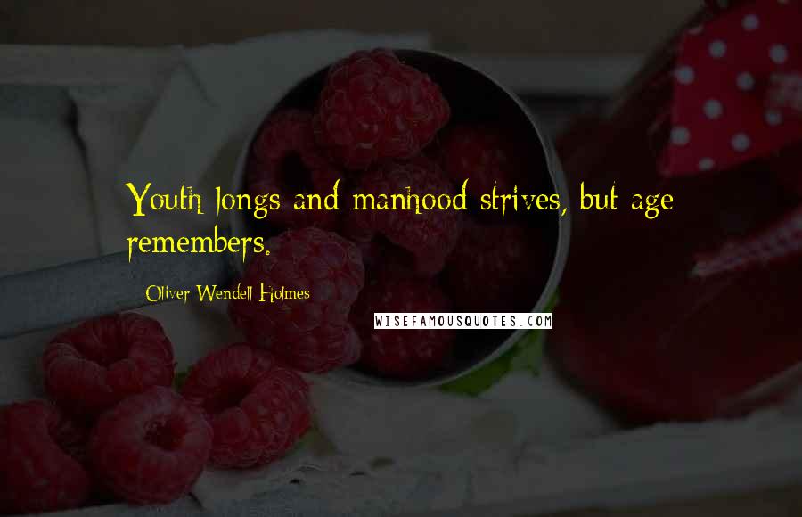 Oliver Wendell Holmes Quotes: Youth longs and manhood strives, but age remembers.