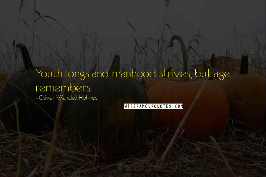 Oliver Wendell Holmes Quotes: Youth longs and manhood strives, but age remembers.