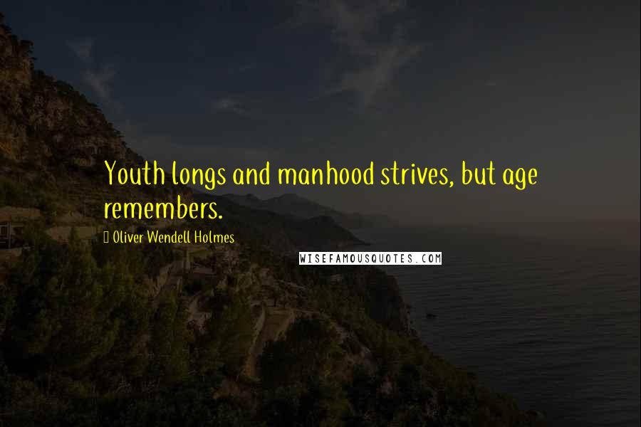 Oliver Wendell Holmes Quotes: Youth longs and manhood strives, but age remembers.