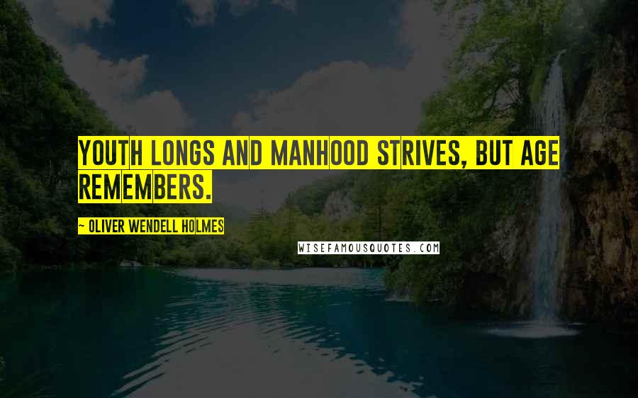 Oliver Wendell Holmes Quotes: Youth longs and manhood strives, but age remembers.