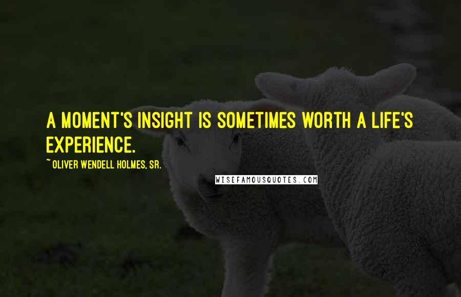 Oliver Wendell Holmes, Sr. Quotes: A moment's insight is sometimes worth a life's experience.