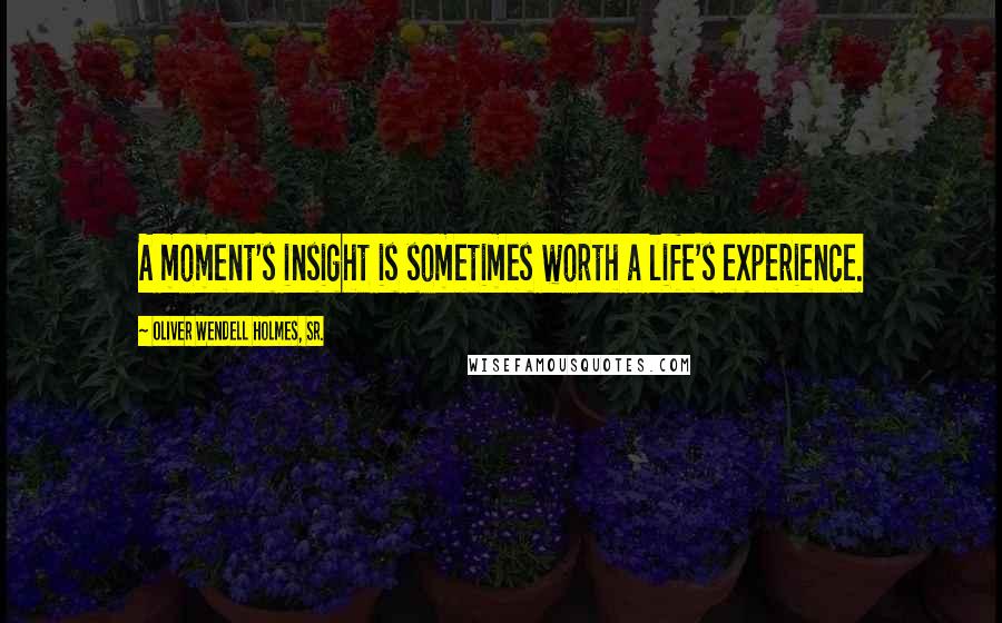 Oliver Wendell Holmes, Sr. Quotes: A moment's insight is sometimes worth a life's experience.