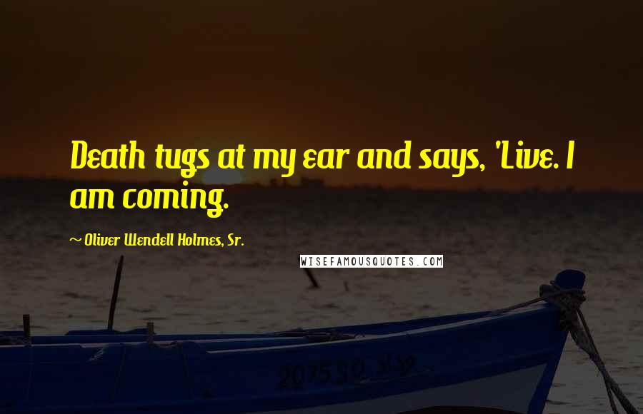 Oliver Wendell Holmes, Sr. Quotes: Death tugs at my ear and says, 'Live. I am coming.