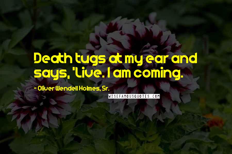 Oliver Wendell Holmes, Sr. Quotes: Death tugs at my ear and says, 'Live. I am coming.