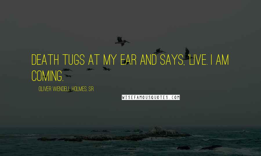 Oliver Wendell Holmes, Sr. Quotes: Death tugs at my ear and says, 'Live. I am coming.