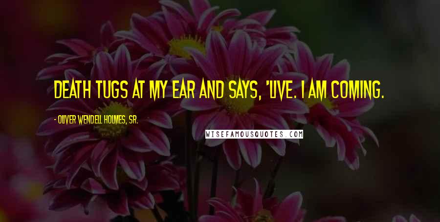 Oliver Wendell Holmes, Sr. Quotes: Death tugs at my ear and says, 'Live. I am coming.