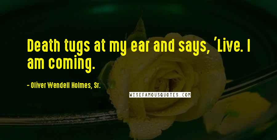Oliver Wendell Holmes, Sr. Quotes: Death tugs at my ear and says, 'Live. I am coming.