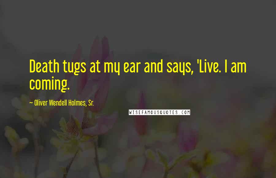 Oliver Wendell Holmes, Sr. Quotes: Death tugs at my ear and says, 'Live. I am coming.