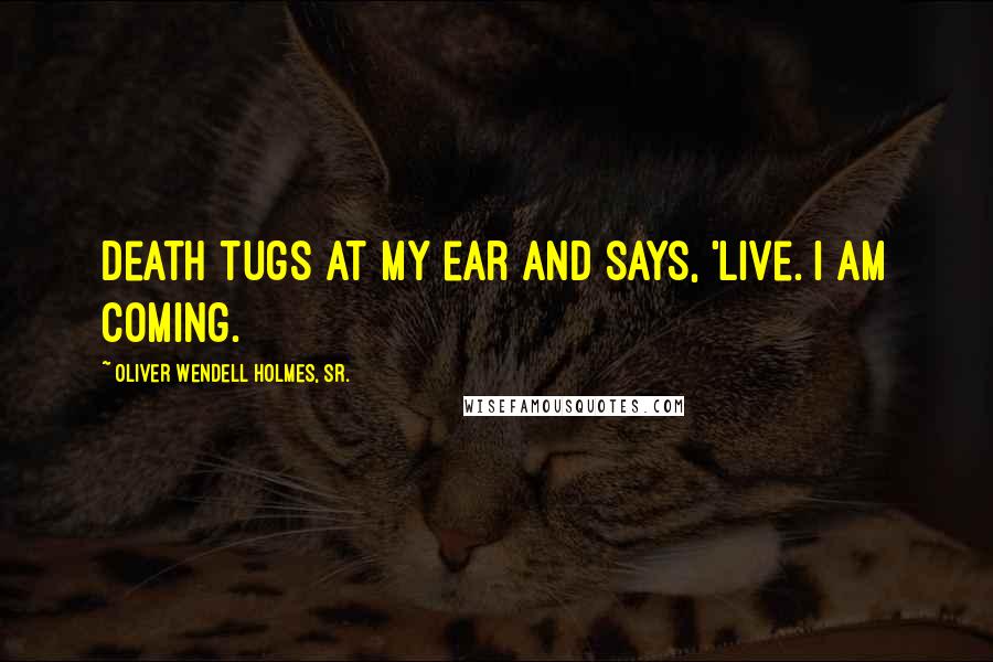 Oliver Wendell Holmes, Sr. Quotes: Death tugs at my ear and says, 'Live. I am coming.