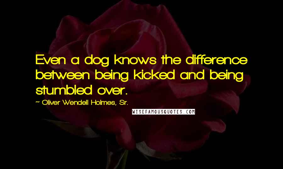 Oliver Wendell Holmes, Sr. Quotes: Even a dog knows the difference between being kicked and being stumbled over.