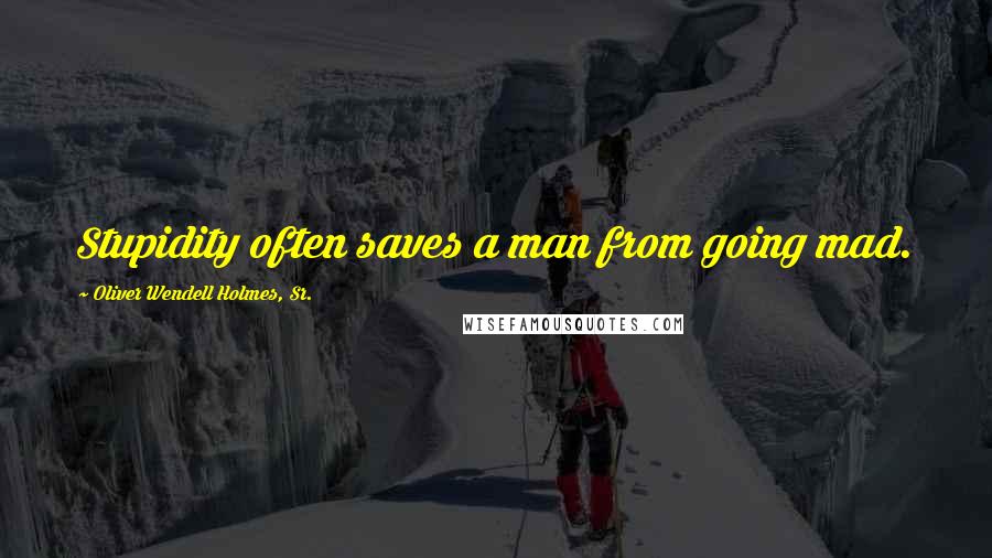 Oliver Wendell Holmes, Sr. Quotes: Stupidity often saves a man from going mad.