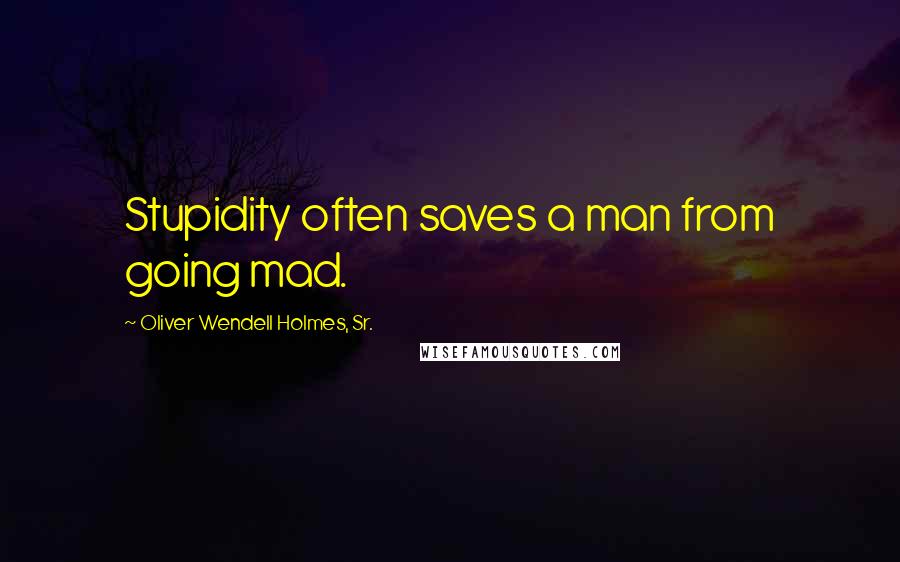 Oliver Wendell Holmes, Sr. Quotes: Stupidity often saves a man from going mad.