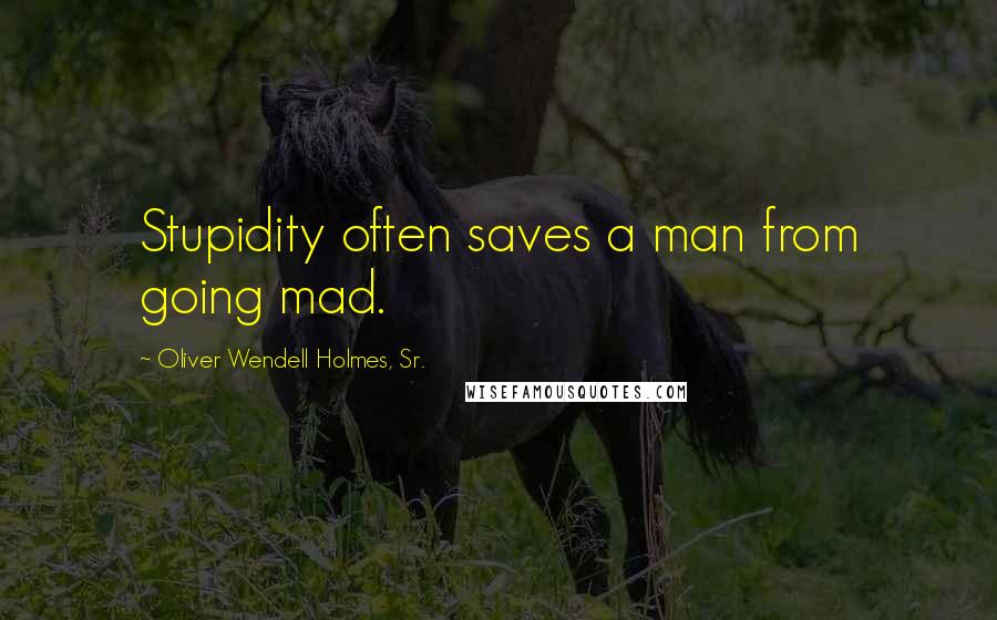 Oliver Wendell Holmes, Sr. Quotes: Stupidity often saves a man from going mad.