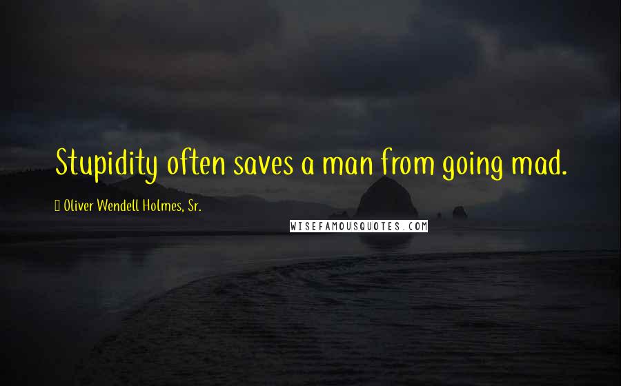 Oliver Wendell Holmes, Sr. Quotes: Stupidity often saves a man from going mad.