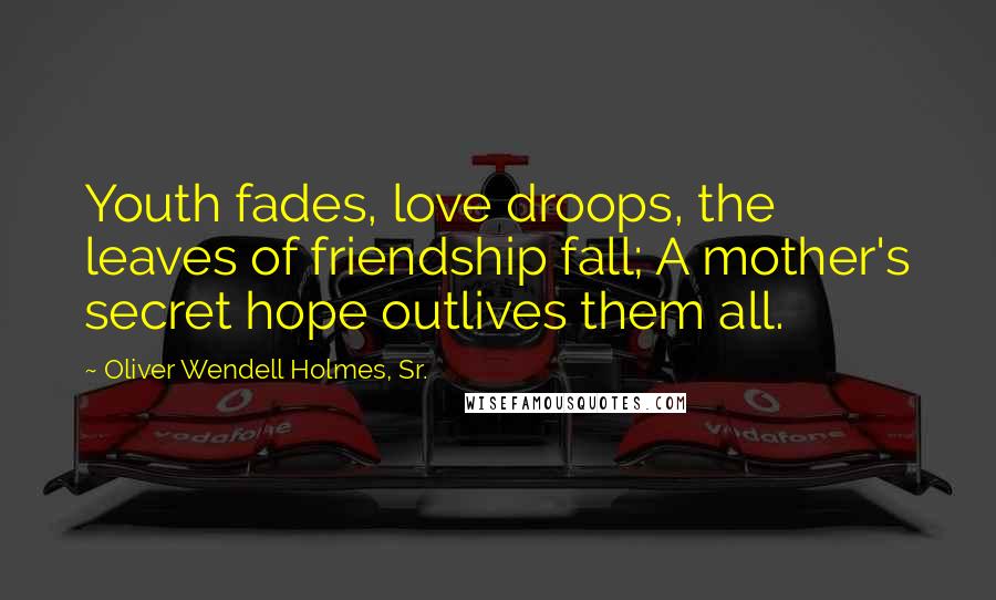 Oliver Wendell Holmes, Sr. Quotes: Youth fades, love droops, the leaves of friendship fall; A mother's secret hope outlives them all.