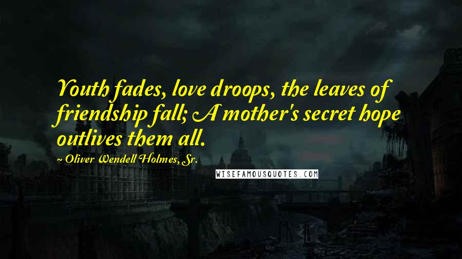 Oliver Wendell Holmes, Sr. Quotes: Youth fades, love droops, the leaves of friendship fall; A mother's secret hope outlives them all.