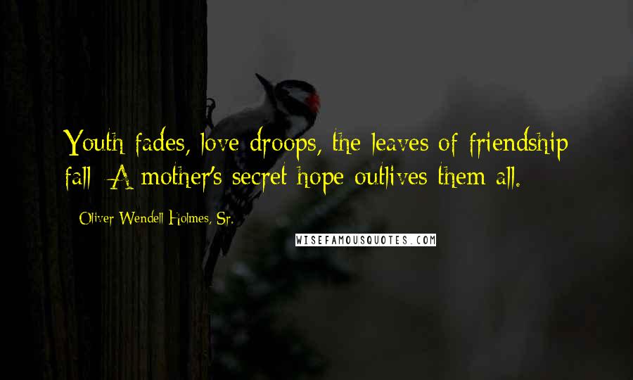 Oliver Wendell Holmes, Sr. Quotes: Youth fades, love droops, the leaves of friendship fall; A mother's secret hope outlives them all.