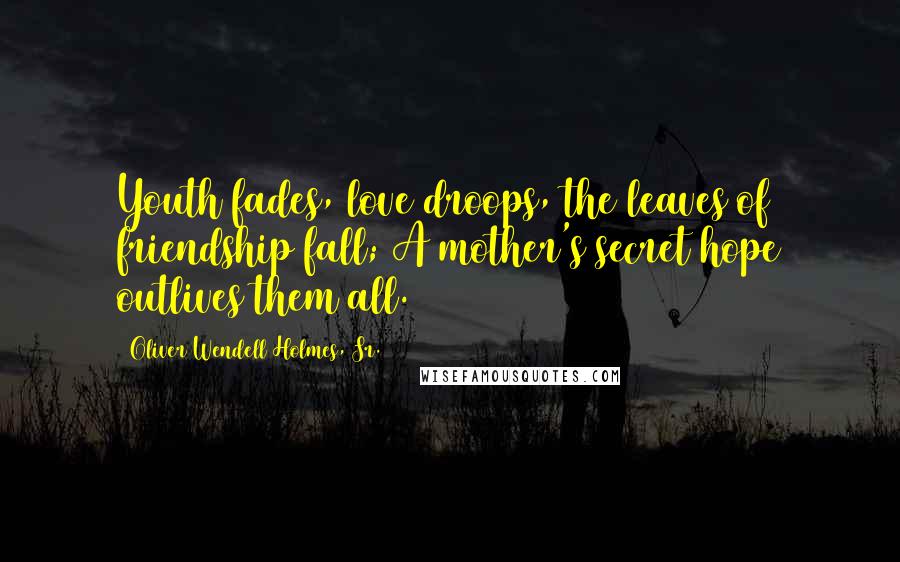 Oliver Wendell Holmes, Sr. Quotes: Youth fades, love droops, the leaves of friendship fall; A mother's secret hope outlives them all.