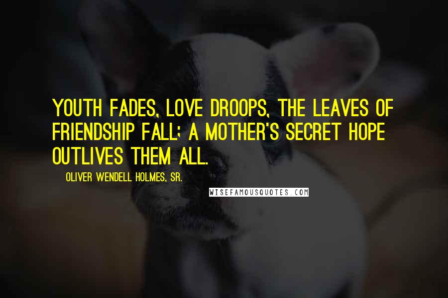 Oliver Wendell Holmes, Sr. Quotes: Youth fades, love droops, the leaves of friendship fall; A mother's secret hope outlives them all.