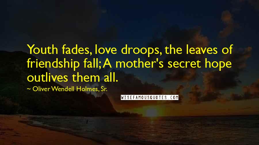 Oliver Wendell Holmes, Sr. Quotes: Youth fades, love droops, the leaves of friendship fall; A mother's secret hope outlives them all.