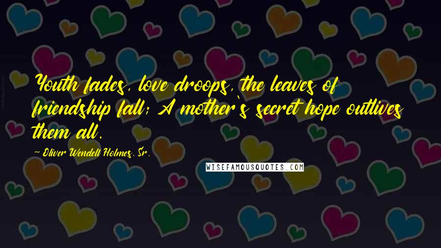 Oliver Wendell Holmes, Sr. Quotes: Youth fades, love droops, the leaves of friendship fall; A mother's secret hope outlives them all.