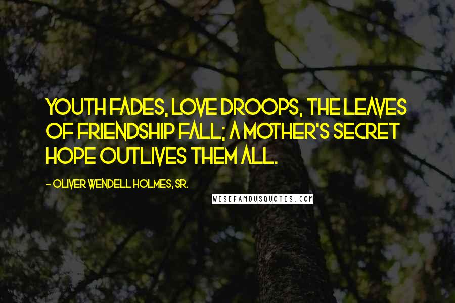 Oliver Wendell Holmes, Sr. Quotes: Youth fades, love droops, the leaves of friendship fall; A mother's secret hope outlives them all.