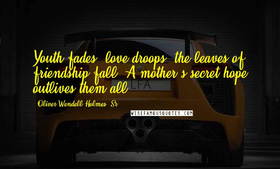 Oliver Wendell Holmes, Sr. Quotes: Youth fades, love droops, the leaves of friendship fall; A mother's secret hope outlives them all.