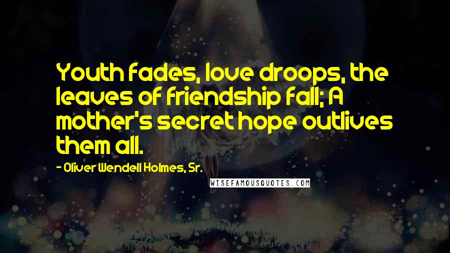 Oliver Wendell Holmes, Sr. Quotes: Youth fades, love droops, the leaves of friendship fall; A mother's secret hope outlives them all.