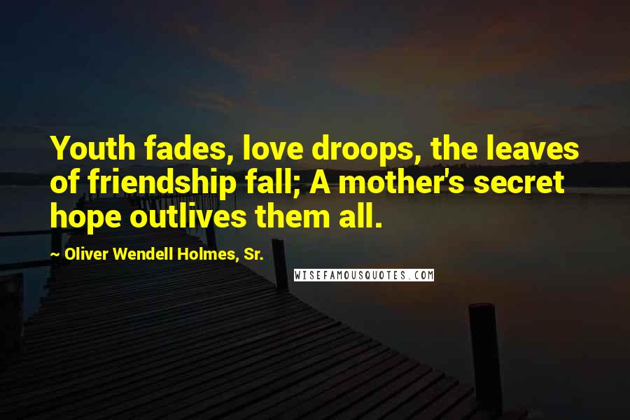 Oliver Wendell Holmes, Sr. Quotes: Youth fades, love droops, the leaves of friendship fall; A mother's secret hope outlives them all.