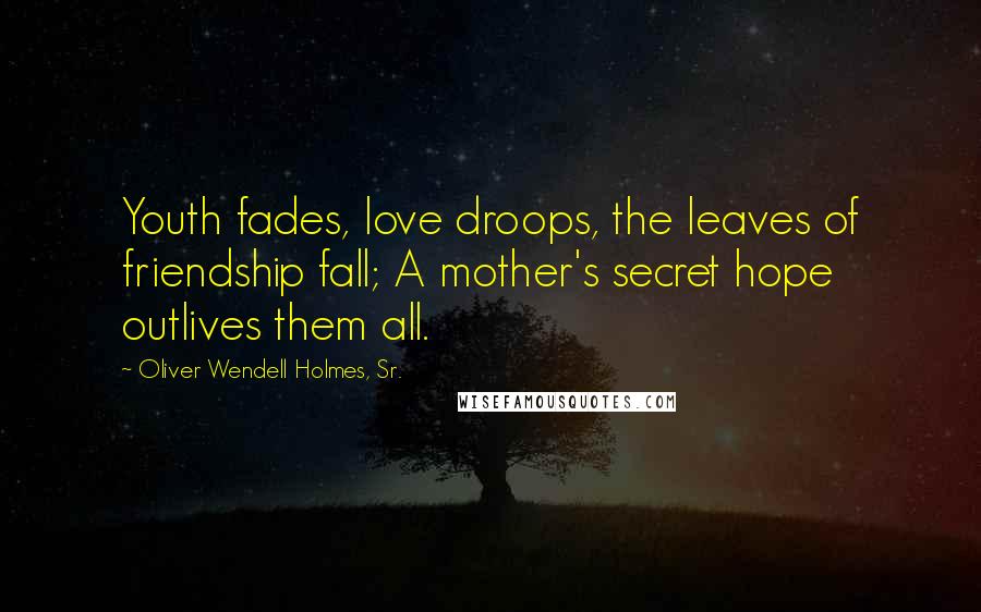 Oliver Wendell Holmes, Sr. Quotes: Youth fades, love droops, the leaves of friendship fall; A mother's secret hope outlives them all.