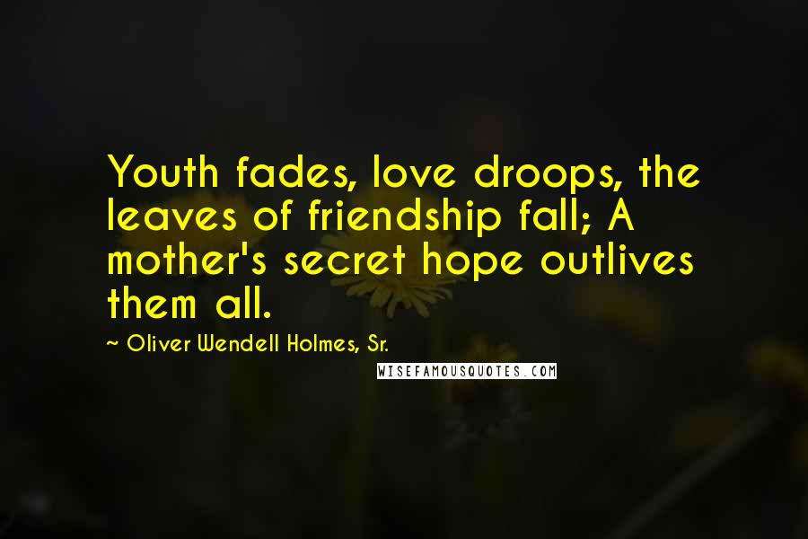 Oliver Wendell Holmes, Sr. Quotes: Youth fades, love droops, the leaves of friendship fall; A mother's secret hope outlives them all.