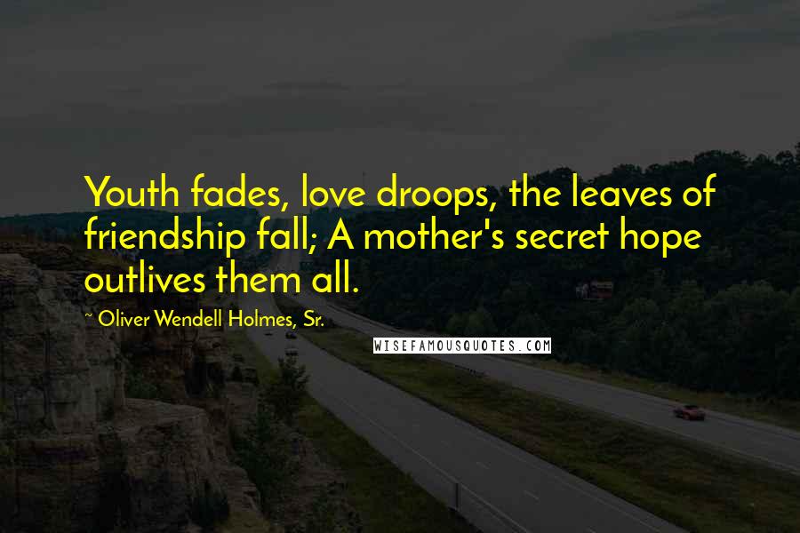 Oliver Wendell Holmes, Sr. Quotes: Youth fades, love droops, the leaves of friendship fall; A mother's secret hope outlives them all.