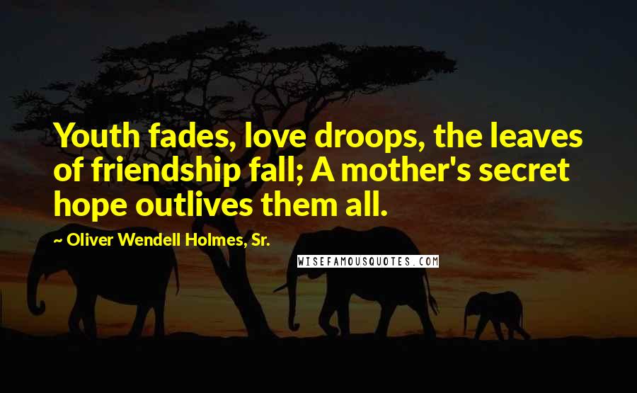 Oliver Wendell Holmes, Sr. Quotes: Youth fades, love droops, the leaves of friendship fall; A mother's secret hope outlives them all.