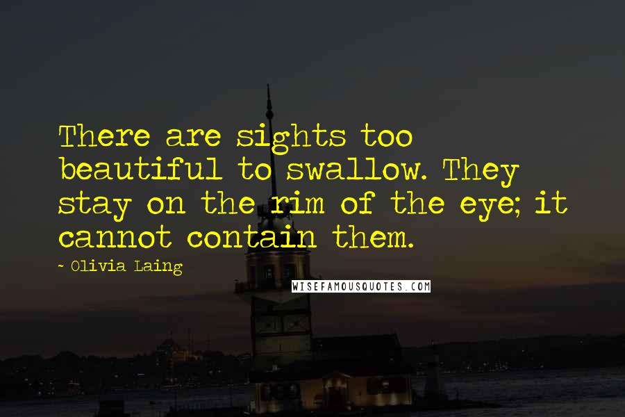 Olivia Laing Quotes: There are sights too beautiful to swallow. They stay on the rim of the eye; it cannot contain them.