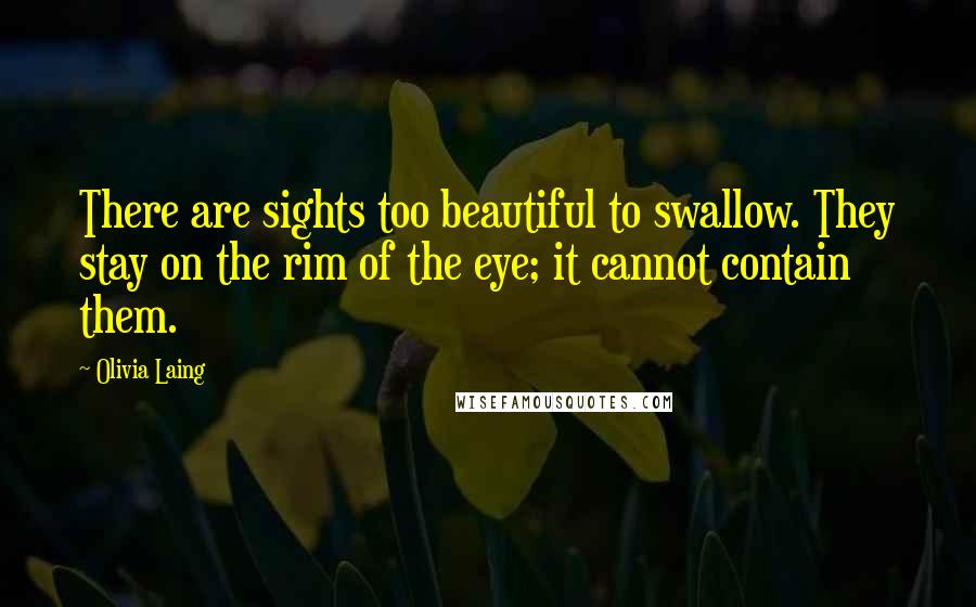 Olivia Laing Quotes: There are sights too beautiful to swallow. They stay on the rim of the eye; it cannot contain them.