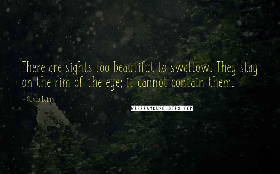 Olivia Laing Quotes: There are sights too beautiful to swallow. They stay on the rim of the eye; it cannot contain them.