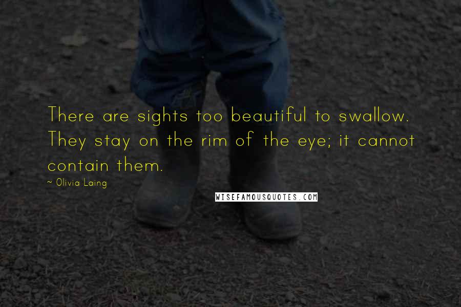 Olivia Laing Quotes: There are sights too beautiful to swallow. They stay on the rim of the eye; it cannot contain them.