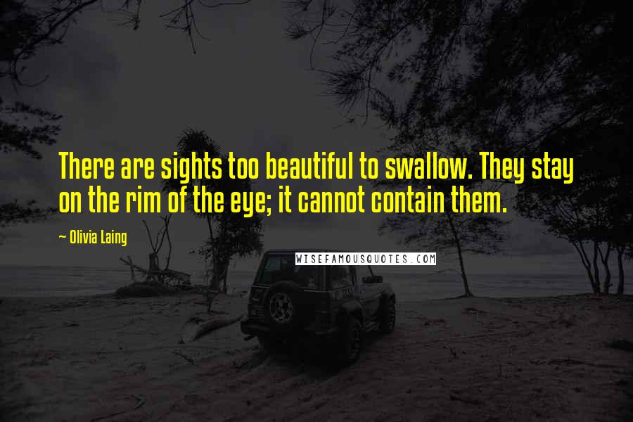 Olivia Laing Quotes: There are sights too beautiful to swallow. They stay on the rim of the eye; it cannot contain them.