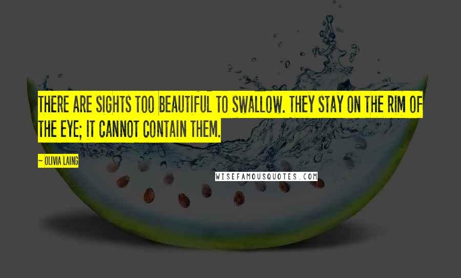 Olivia Laing Quotes: There are sights too beautiful to swallow. They stay on the rim of the eye; it cannot contain them.
