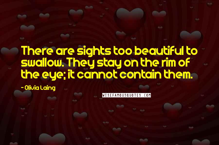 Olivia Laing Quotes: There are sights too beautiful to swallow. They stay on the rim of the eye; it cannot contain them.