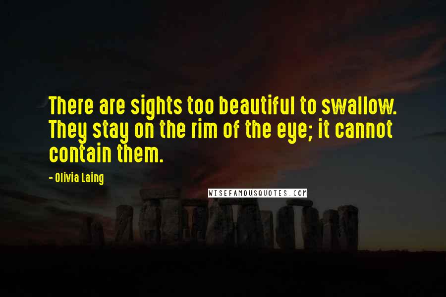 Olivia Laing Quotes: There are sights too beautiful to swallow. They stay on the rim of the eye; it cannot contain them.