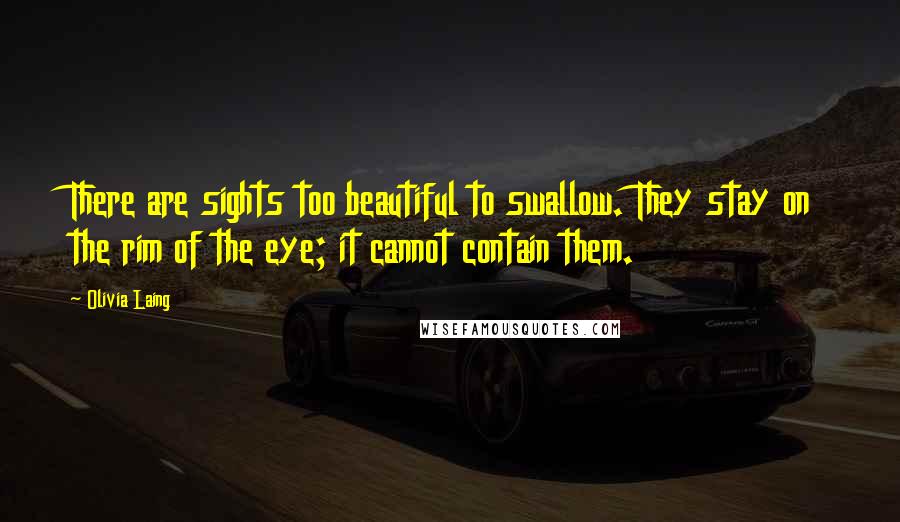 Olivia Laing Quotes: There are sights too beautiful to swallow. They stay on the rim of the eye; it cannot contain them.