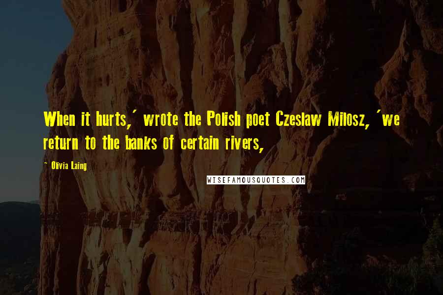 Olivia Laing Quotes: When it hurts,' wrote the Polish poet Czeslaw Milosz, 'we return to the banks of certain rivers,