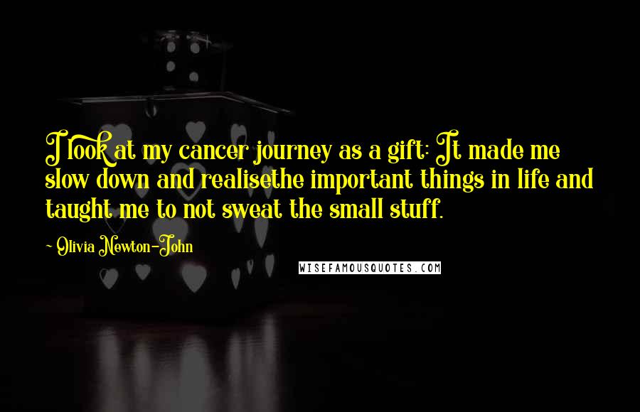 Olivia Newton-John Quotes: I look at my cancer journey as a gift: It made me slow down and realisethe important things in life and taught me to not sweat the small stuff.
